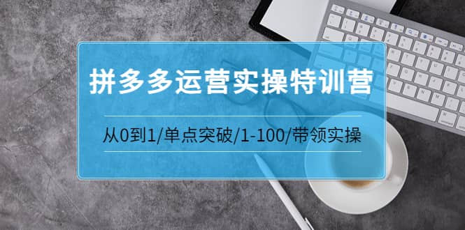 拼多多运营实操特训营：从0到1/单点突破/1-100/带领实操 价值2980元-金云网创--一切美好高质量资源，尽在金云网创！