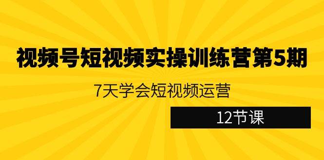 （9029期）视频号短视频实操训练营第5期：7天学会短视频运营（12节课）-金云网创--一切美好高质量资源，尽在金云网创！