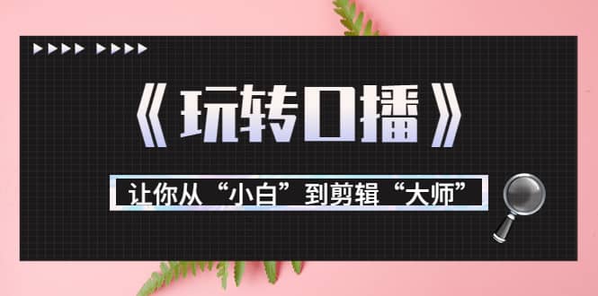 月营业额700万+大佬教您《玩转口播》让你从“小白”到剪辑“大师”-金云网创--一切美好高质量资源，尽在金云网创！