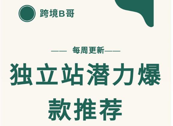 【跨境B哥】独立站潜力爆款选品推荐，测款出单率高达百分之80（每周更新）-金云网创--一切美好高质量资源，尽在金云网创！