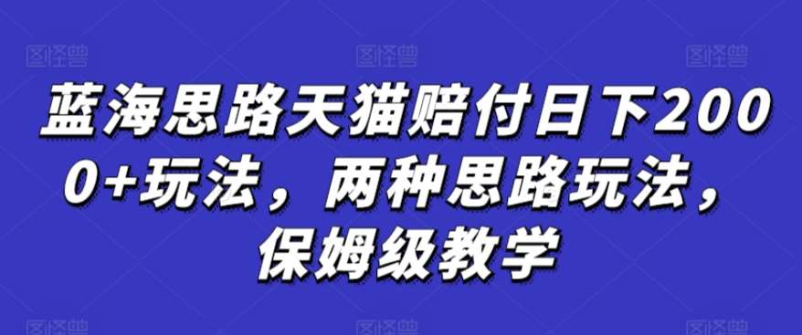 蓝海思路天猫赔付日下2000+玩法，两种思路玩法，保姆级教学【仅揭秘】-金云网创--一切美好高质量资源，尽在金云网创！