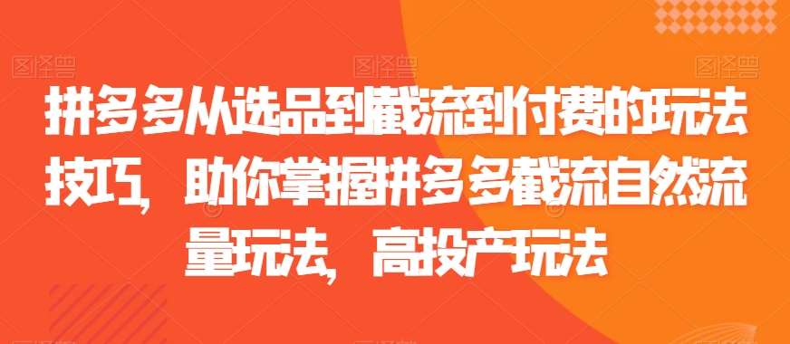 拼多多从选品到截流到付费的玩法技巧，助你掌握拼多多截流自然流量玩法，高投产玩法-金云网创--一切美好高质量资源，尽在金云网创！