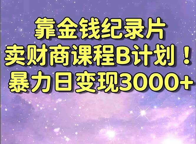 （8944期）靠金钱纪录片卖财商课程B计划！暴力日变现3000+，喂饭式干货教程！-金云网创--一切美好高质量资源，尽在金云网创！