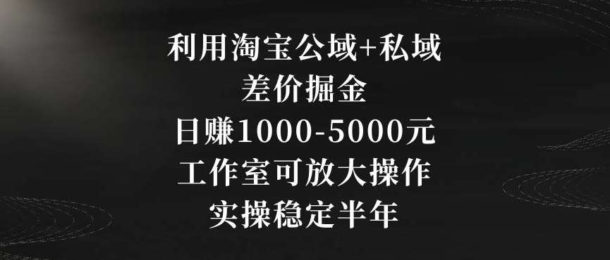 利用淘宝公域+私域差价掘金，日赚1000-5000元，工作室可放大操作，实操稳定半年【揭秘】-金云网创--一切美好高质量资源，尽在金云网创！