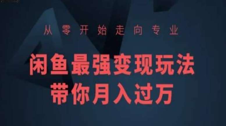 从零开始走向专业，闲鱼最强变现玩法带你月入过万-金云网创--一切美好高质量资源，尽在金云网创！