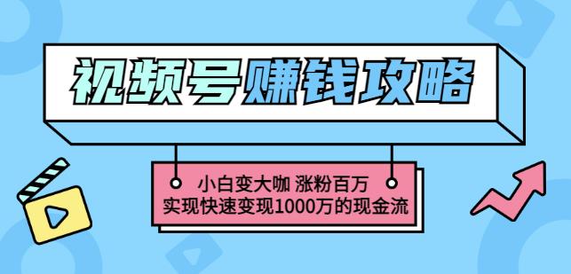 玩转微信视频号赚钱：小白变大咖涨粉百万实现快速变现1000万的现金流-金云网创--一切美好高质量资源，尽在金云网创！