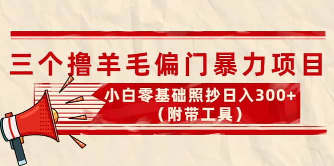 外面卖998的三个撸羊毛项目，小白零基础照抄（附带工具）-金云网创--一切美好高质量资源，尽在金云网创！