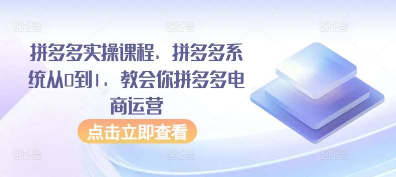 拼多多实操课程，拼多多系统从0到1，教会你拼多多电商运营-金云网创--一切美好高质量资源，尽在金云网创！