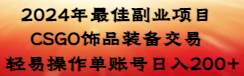 （8941期）2024年最佳副业项目 CSGO饰品装备交易 轻易操作单账号日入200+-金云网创--一切美好高质量资源，尽在金云网创！