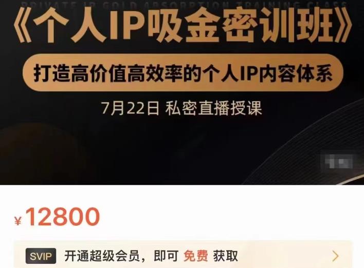 个人IP吸金密训班，打造高价值高效率的个人IP内容体系（价值12800元）-金云网创--一切美好高质量资源，尽在金云网创！