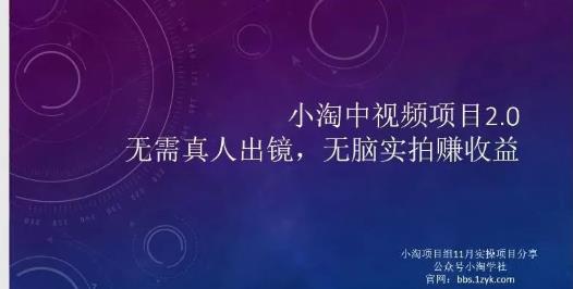 小淘项目组网赚永久会员，绝对是具有实操价值的，适合有项目做需要流程【持续更新】-金云网创--一切美好高质量资源，尽在金云网创！