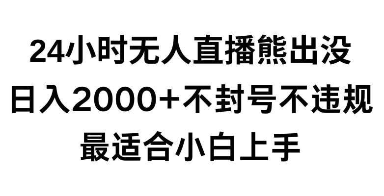 快手24小时无人直播熊出没，不封直播间，不违规，日入2000+，最适合小白上手，保姆式教学【揭秘】-金云网创--一切美好高质量资源，尽在金云网创！