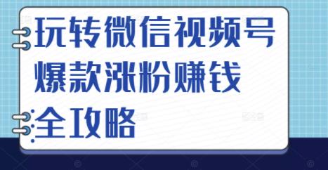 玩转微信视频号爆款涨粉赚钱全攻略，让你快速抓住流量风口，收获红利财富-金云网创--一切美好高质量资源，尽在金云网创！