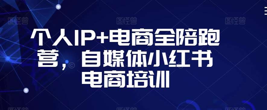 个人IP+电商全陪跑营，自媒体小红书电商培训-金云网创--一切美好高质量资源，尽在金云网创！