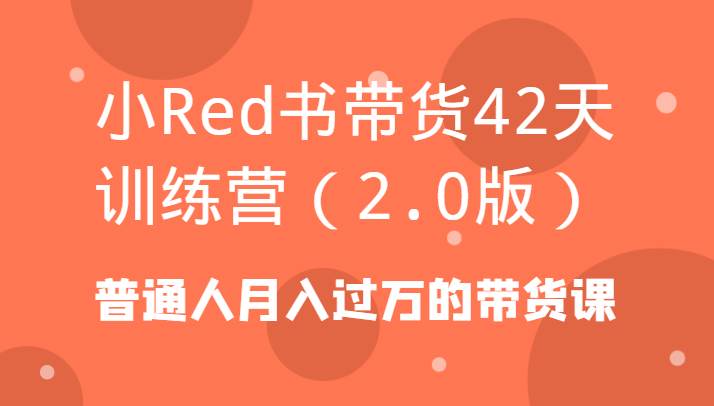 小Red书带货42天训练营（2.0版）普通人月入过万的带货课-金云网创--一切美好高质量资源，尽在金云网创！