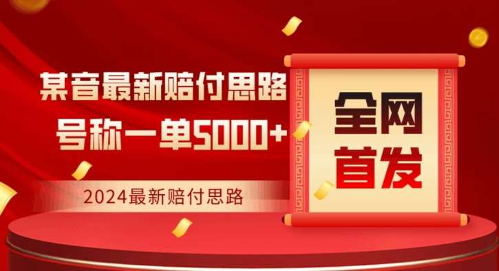 全网首发，2024最新抖音赔付项目，号称一单5000+保姆级拆解【仅揭秘】-金云网创--一切美好高质量资源，尽在金云网创！