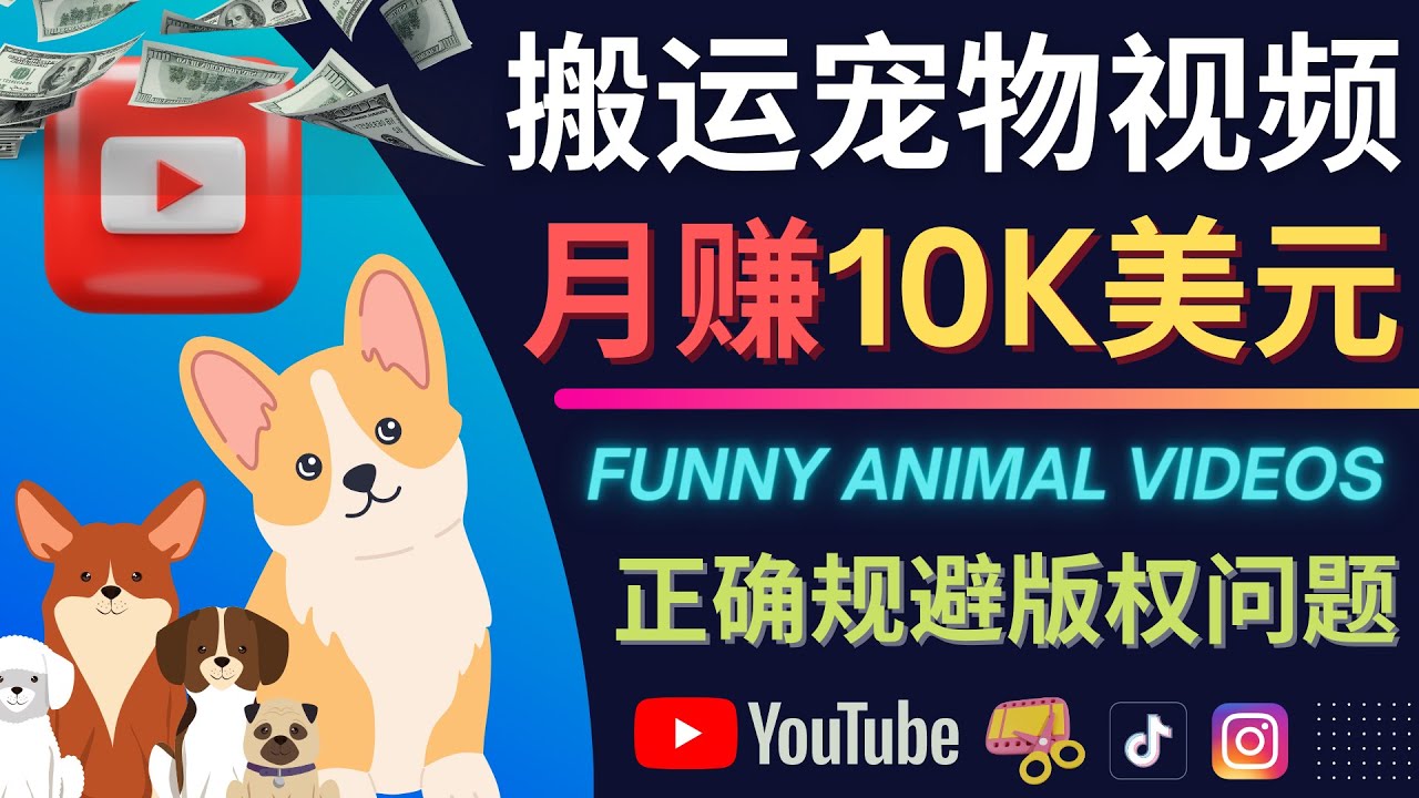 搬运TIKTOK视频到YouTube，并进行二次创作，月赚1万美元以上-金云网创--一切美好高质量资源，尽在金云网创！