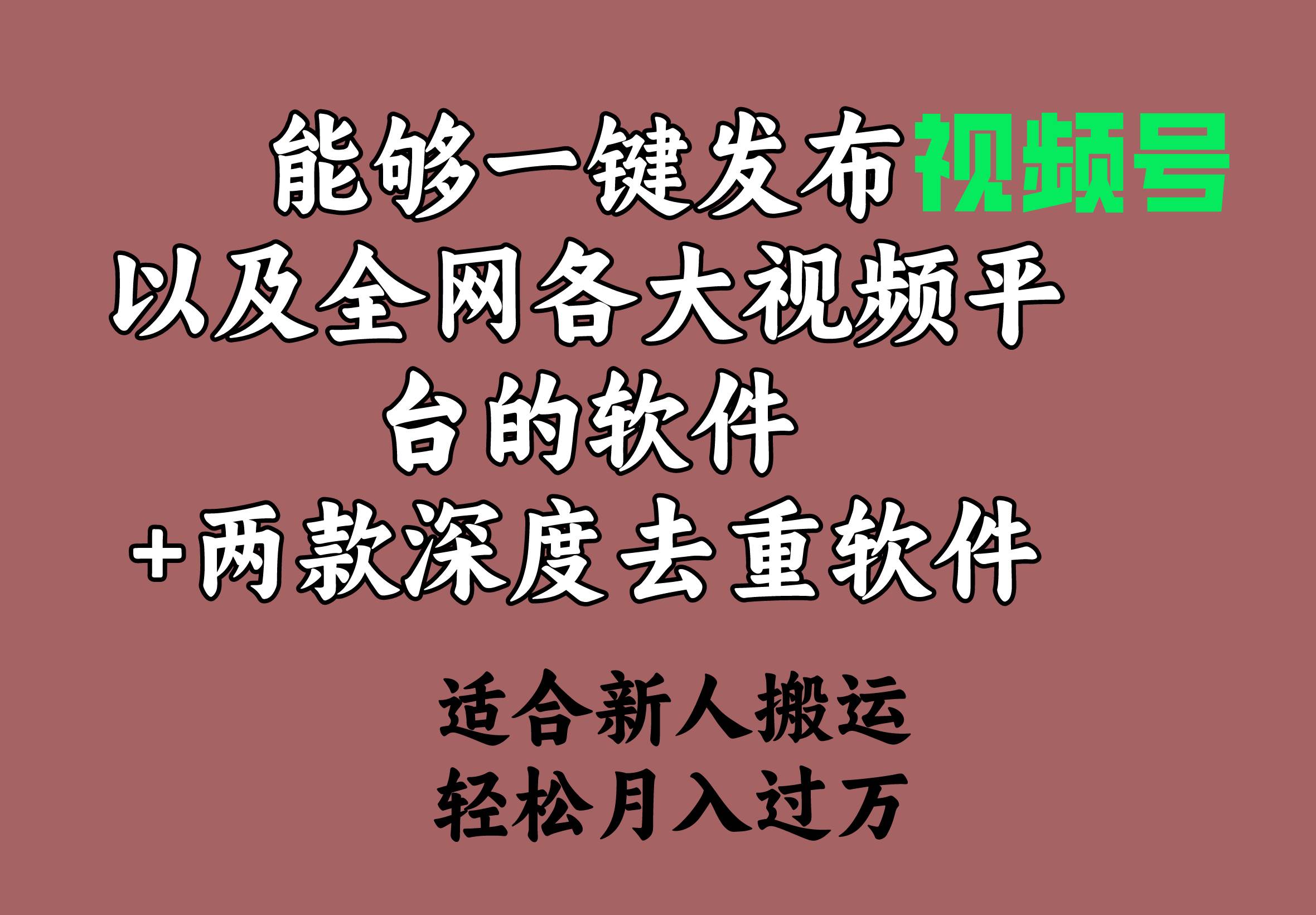 （9319期）能够一键发布视频号以及全网各大视频平台的软件+两款深度去重软件 适合…-金云网创--一切美好高质量资源，尽在金云网创！