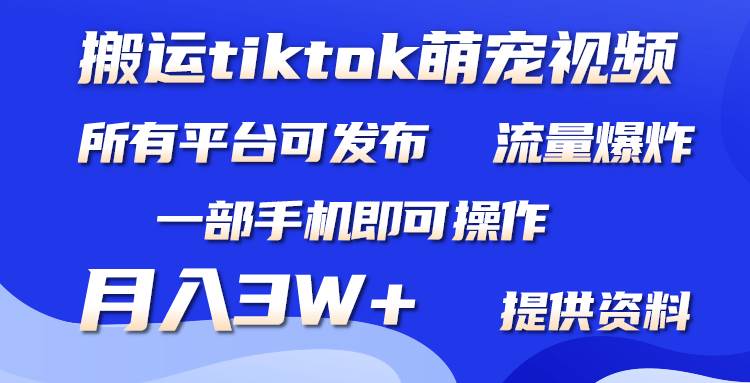 （9618期）搬运Tiktok萌宠类视频，一部手机即可。所有短视频平台均可操作，月入3W+-金云网创--一切美好高质量资源，尽在金云网创！