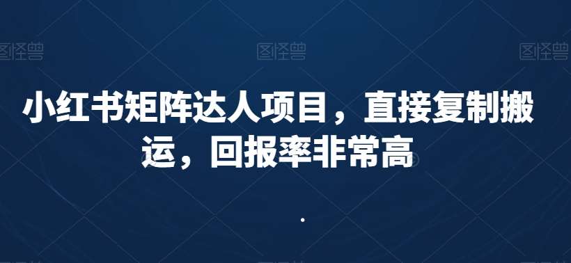 小红书矩阵达人项目，直接复制搬运，回报率非常高-金云网创--一切美好高质量资源，尽在金云网创！