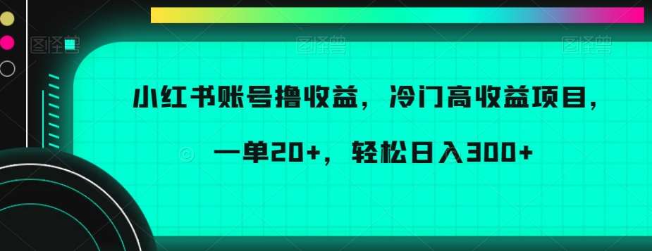 小红书账号撸收益，冷门高收益项目，一单20+，轻松日入300+【揭秘】-金云网创--一切美好高质量资源，尽在金云网创！