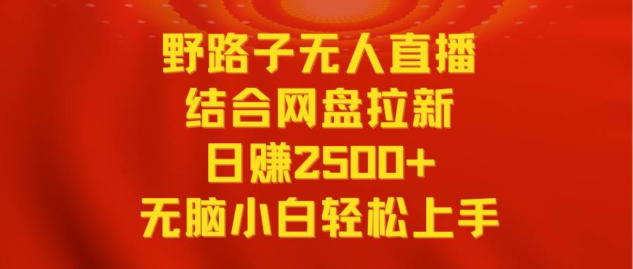 （9025期）无人直播野路子结合网盘拉新，日赚2500+多平台变现，小白无脑轻松上手操作-金云网创--一切美好高质量资源，尽在金云网创！