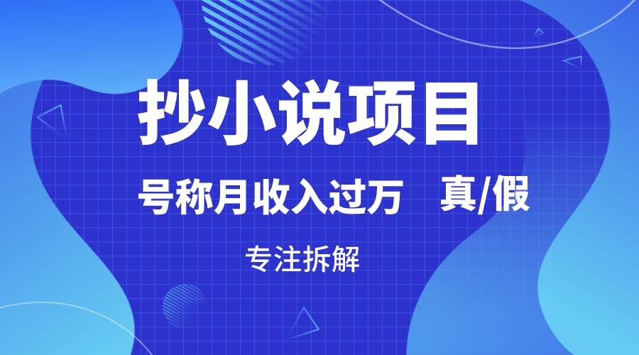 抄小说项目，号称月入过万，到底是否真实，能不能做，详细拆解-金云网创--一切美好高质量资源，尽在金云网创！