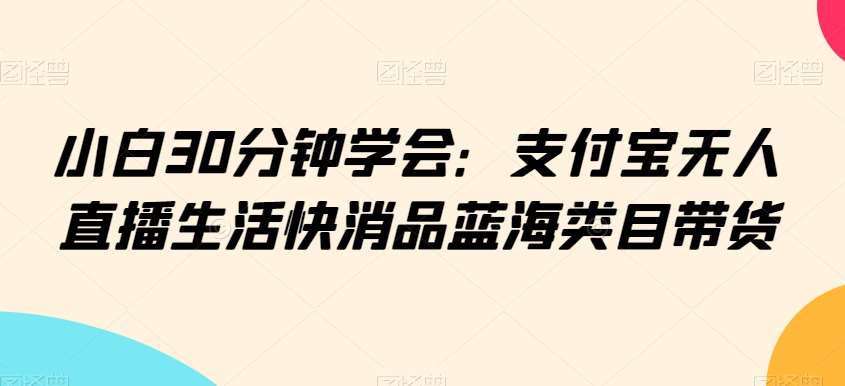 小白30分钟学会：支付宝无人直播生活快消品蓝海类目带货【揭秘】-金云网创--一切美好高质量资源，尽在金云网创！