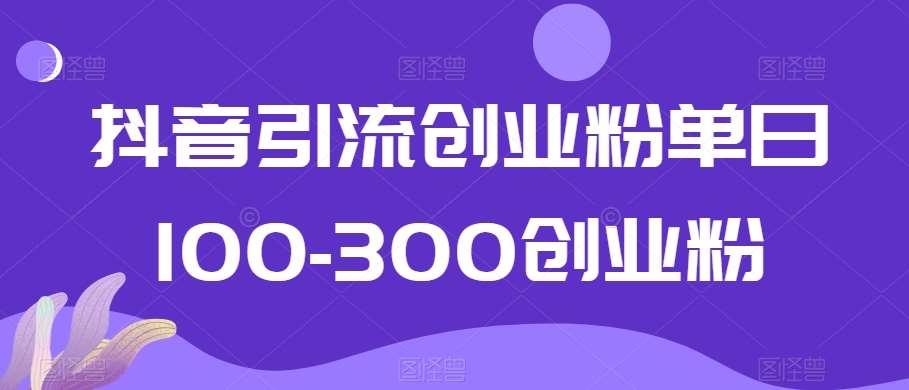 抖音引流创业粉单日100-300创业粉【揭秘】-金云网创--一切美好高质量资源，尽在金云网创！