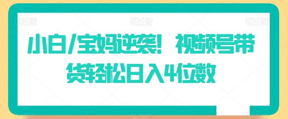 小白/宝妈逆袭！视频号带货轻松日入4位数【揭秘】-金云网创--一切美好高质量资源，尽在金云网创！