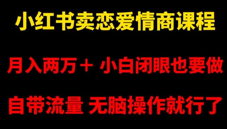 小红书卖恋爱情商课程，月入两万＋，小白闭眼也要做，自带流量，无脑操作就行了【揭秘】-金云网创--一切美好高质量资源，尽在金云网创！