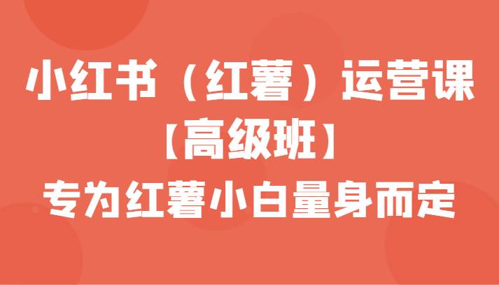 小红书（红薯）运营课【高级班】，专为红薯小白量身而定（42节课）-金云网创--一切美好高质量资源，尽在金云网创！