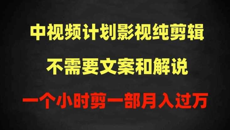 中视频计划影视纯剪辑，不需要文案和解说，一个小时剪一部，100%过原创月入过万【揭秘】-金云网创--一切美好高质量资源，尽在金云网创！