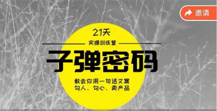 《子弹密码训练营》-用一句话文案勾人勾心卖产品，21天学到顶尖文案大师策略和技巧-金云网创--一切美好高质量资源，尽在金云网创！