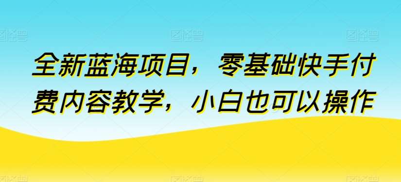 全新蓝海项目，零基础快手付费内容教学，小白也可以操作【揭秘】-金云网创--一切美好高质量资源，尽在金云网创！