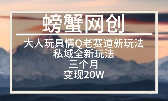 大人玩具情Q用品赛道私域全新玩法，三个月变现20W，老项目新思路【揭秘】-金云网创--一切美好高质量资源，尽在金云网创！