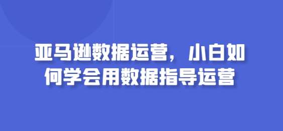 亚马逊数据运营，小白如何学会用数据指导运营-金云网创--一切美好高质量资源，尽在金云网创！