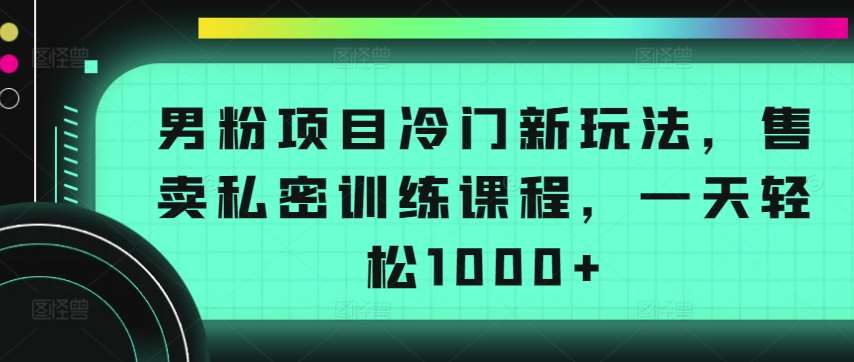 男粉项目冷门新玩法，售卖私密训练课程，一天轻松1000+【揭秘】-金云网创--一切美好高质量资源，尽在金云网创！