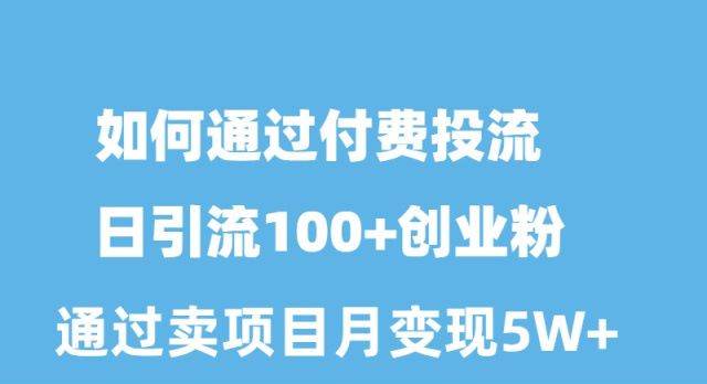 （10189期）如何通过付费投流日引流100+创业粉月变现5W+-金云网创--一切美好高质量资源，尽在金云网创！