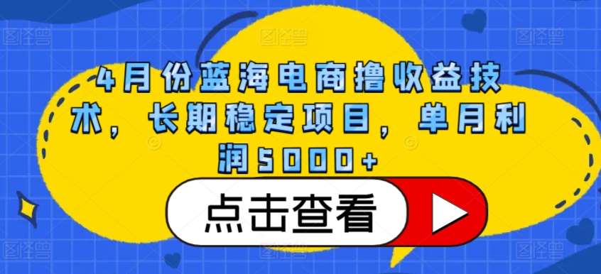 4月份蓝海电商撸收益技术，长期稳定项目，单月利润5000+【揭秘】-金云网创--一切美好高质量资源，尽在金云网创！