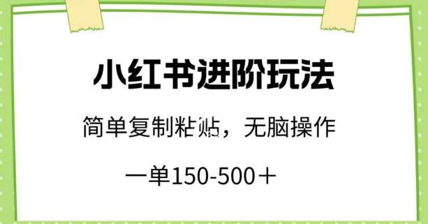 小红书进阶玩法，一单150-500+，简单复制粘贴，小白也能轻松上手【揭秘】-金云网创--一切美好高质量资源，尽在金云网创！