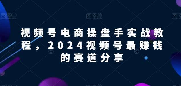 视频号电商实战教程，2024视频号最赚钱的赛道分享-金云网创--一切美好高质量资源，尽在金云网创！