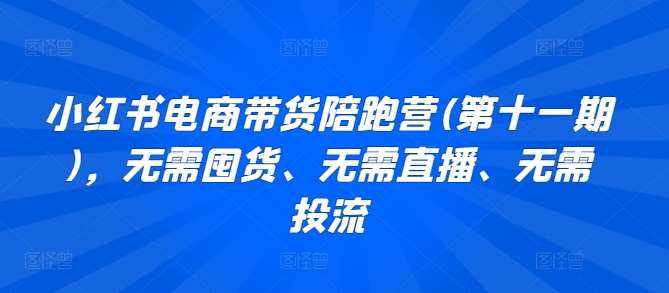 小红书电商带货陪跑营(第十一期)，无需囤货、无需直播、无需投流-金云网创--一切美好高质量资源，尽在金云网创！