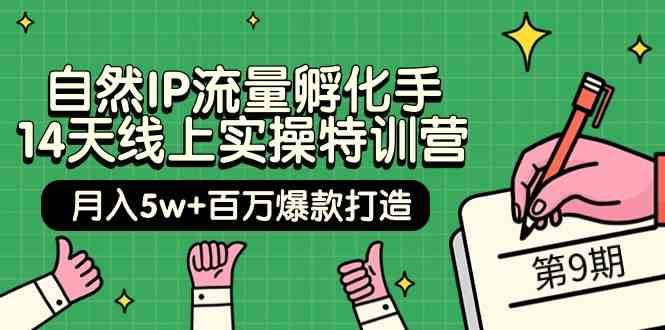 自然IP流量孵化手14天线上实操特训营【第9期】月入5w+百万爆款打造 (74节)-金云网创--一切美好高质量资源，尽在金云网创！