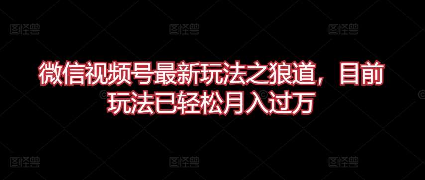 微信视频号最新玩法之狼道，目前玩法已轻松月入过万【揭秘】-金云网创--一切美好高质量资源，尽在金云网创！