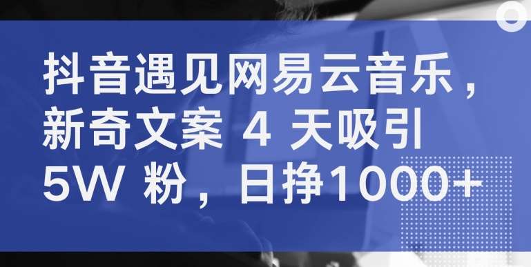 抖音遇见网易云音乐，新奇文案 4 天吸引 5W 粉，日挣1000+【揭秘】-金云网创--一切美好高质量资源，尽在金云网创！