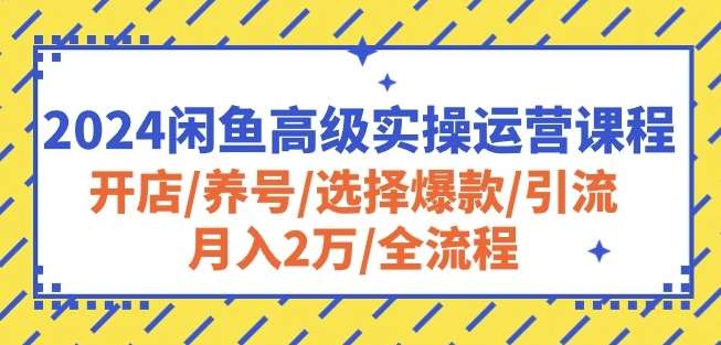 2024闲鱼高级实操运营课程：开店/养号/选择爆款/引流/月入2万/全流程-金云网创--一切美好高质量资源，尽在金云网创！