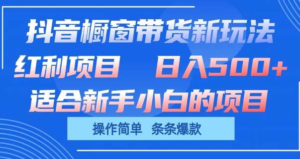 抖音橱窗带货新玩法，单日收益几张，操作简单，条条爆款【揭秘】-金云网创--一切美好高质量资源，尽在金云网创！