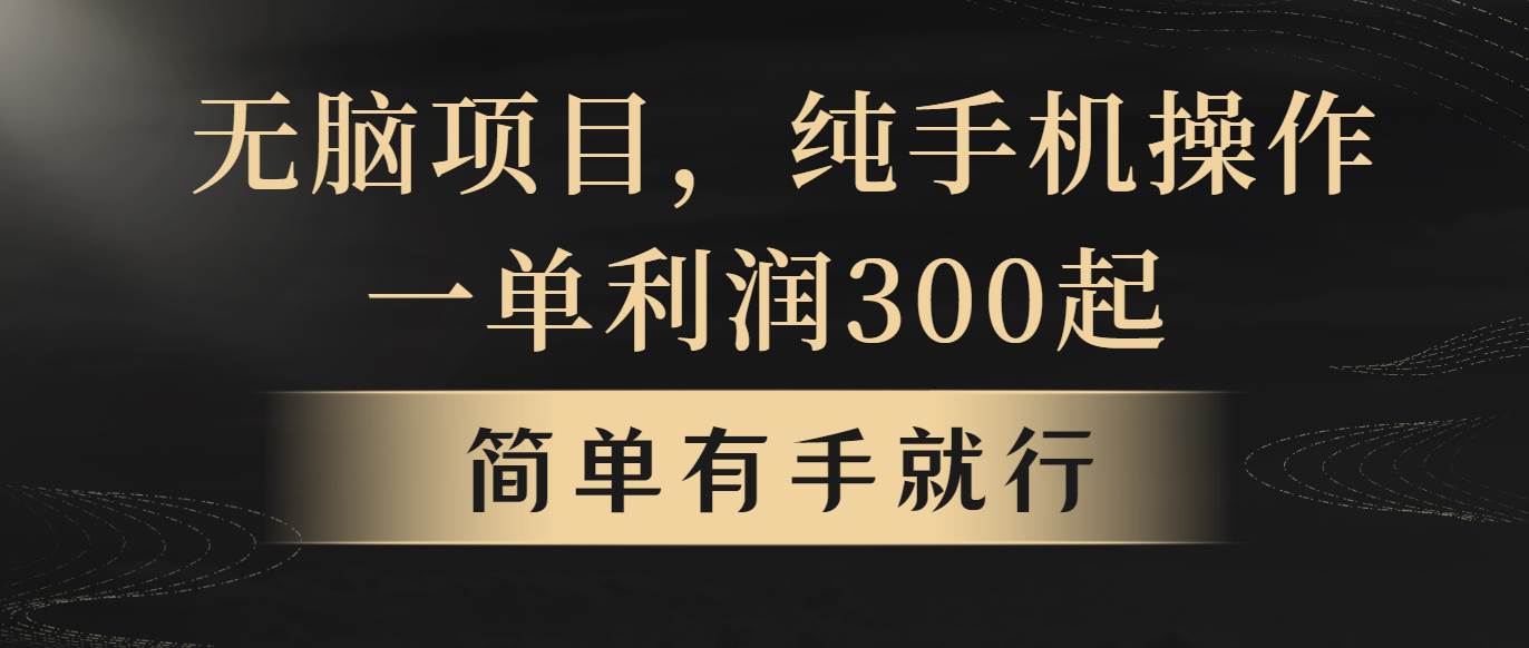 （10699期）无脑项目，一单几百块，轻松月入5w+，看完就能直接操作-金云网创--一切美好高质量资源，尽在金云网创！