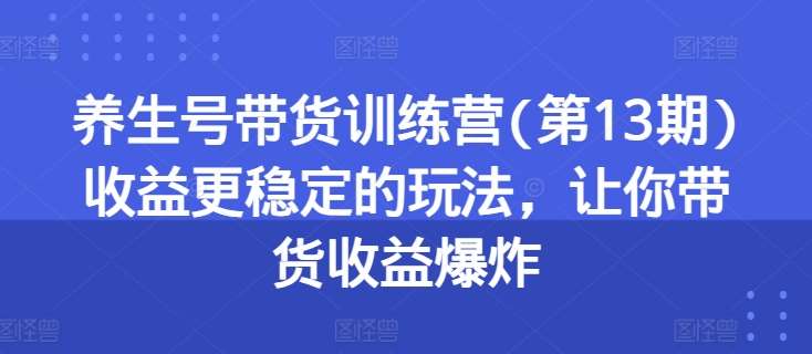 养生号带货训练营(第13期)收益更稳定的玩法，让你带货收益爆炸-金云网创--一切美好高质量资源，尽在金云网创！